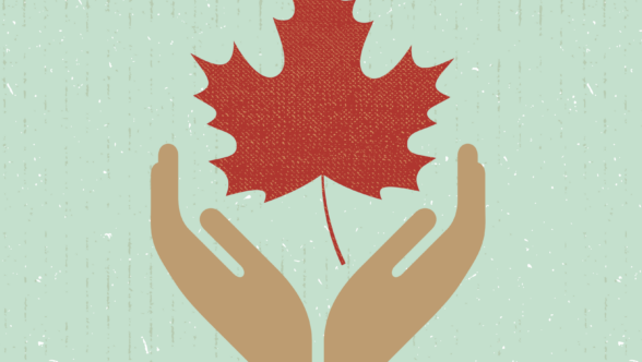 graphic hands holding maple leaf
